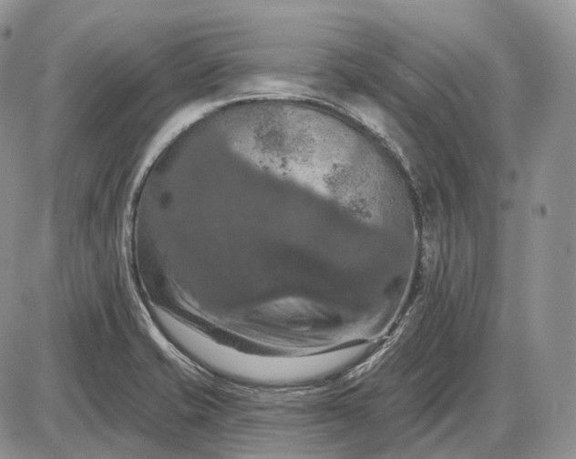 X0000085261421200703231704