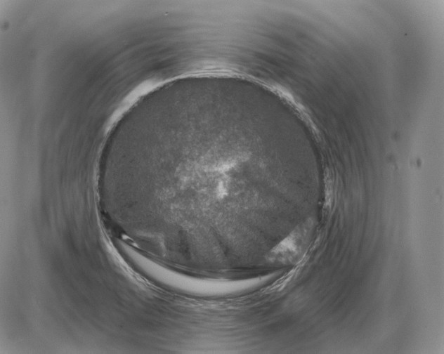 X0000085261422200703231704