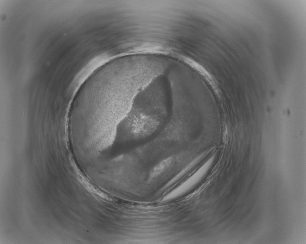 X0000085261423200703231704