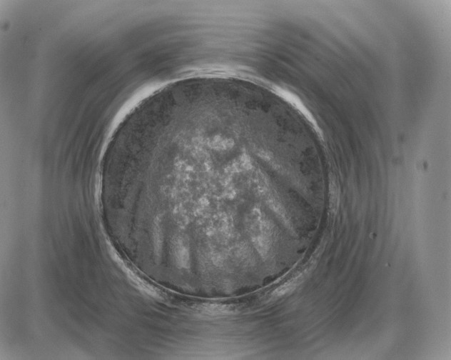 X0000085261424200703231704