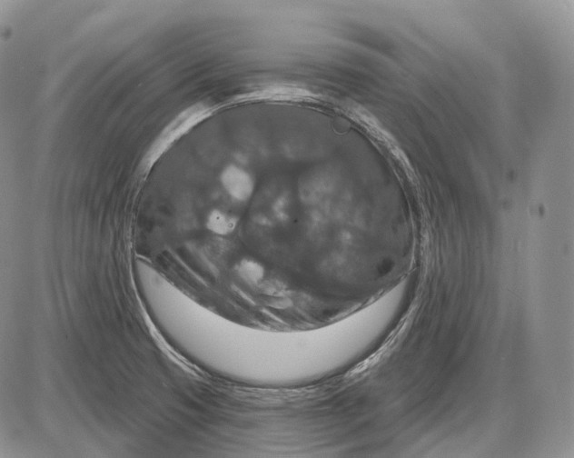 X0000085261425200703231704