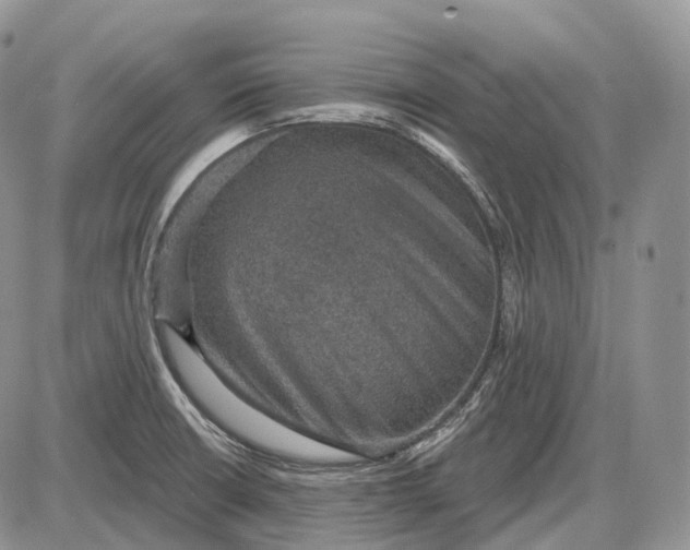 X0000085261426200703231704