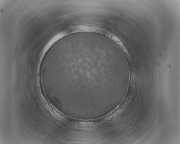 X0000085261427200703231704