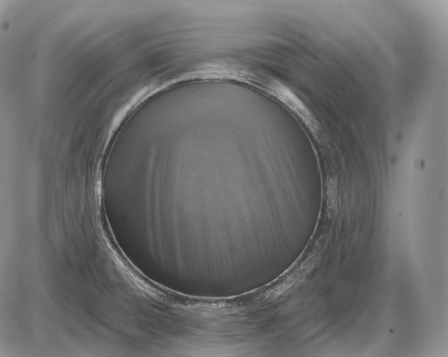 X0000085261428200703231704