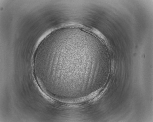 X0000085261430200703231704