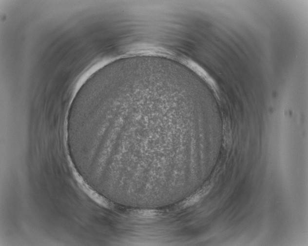 X0000085261431200703231704