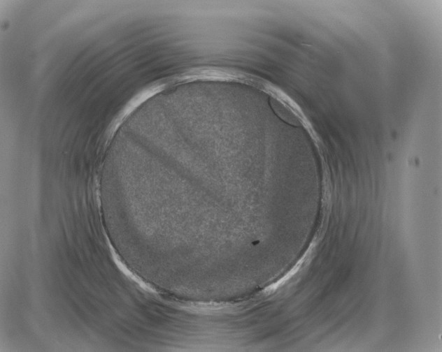 X0000085261433200703231704