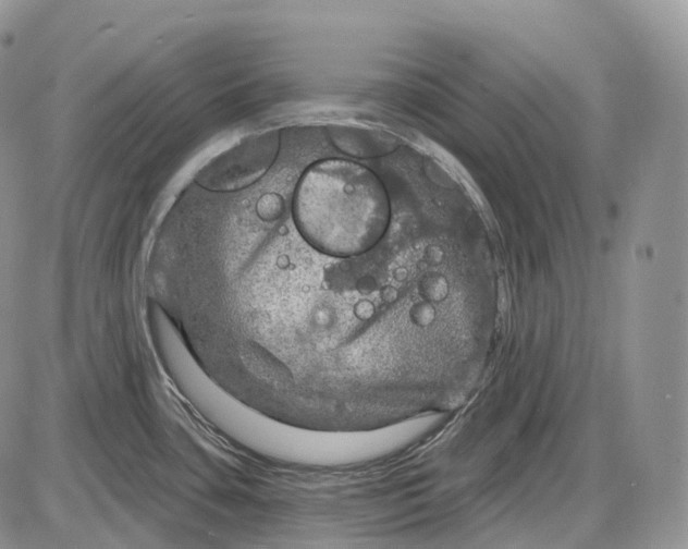 X0000085261435200703231704