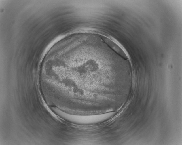 X0000085261437200703231704