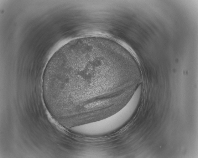 X0000085261439200703231704