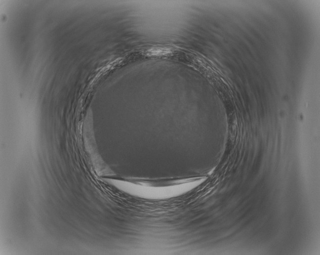 X0000085261441200703231703