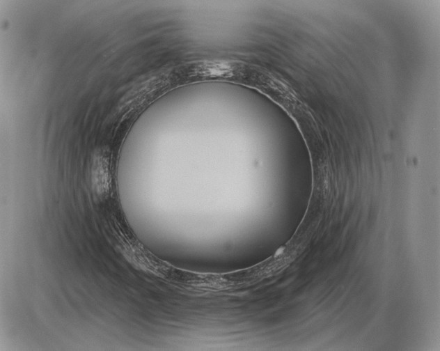 X0000085261442200703231703