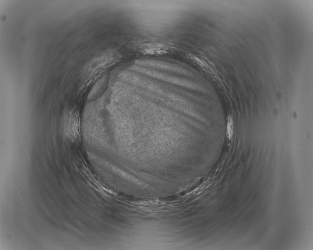 X0000085261444200703231703