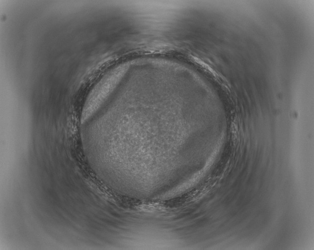 X0000085261447200703231703