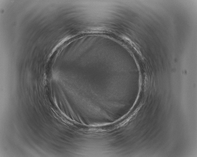 X0000085261449200703231703