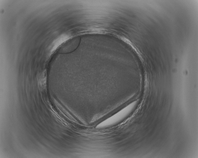 X0000085261450200703231703