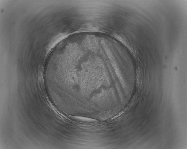 X0000085261452200703231703