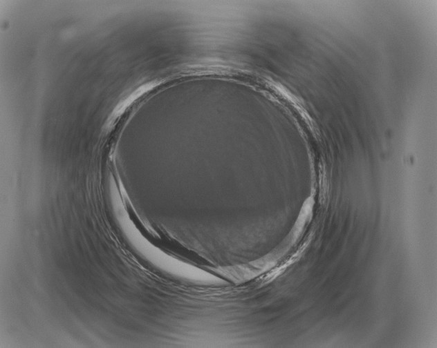 X0000085261453200703231703