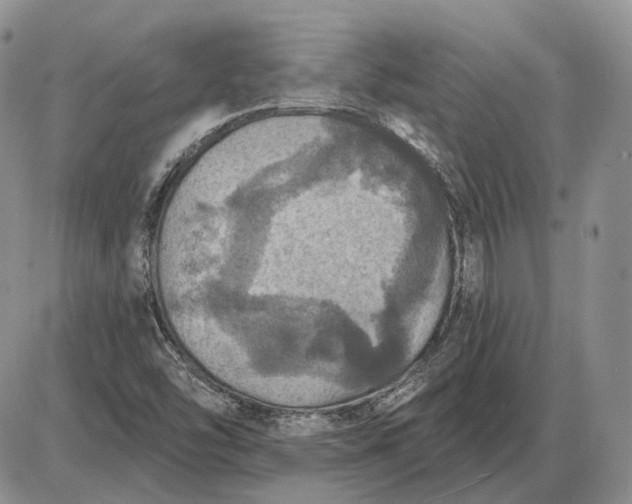 X0000085261454200703231703