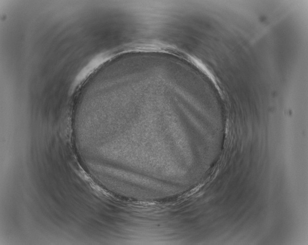 X0000085261456200703231703