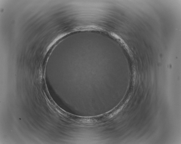 X0000085261457200703231703