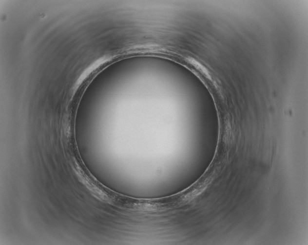 X0000085261458200703231703