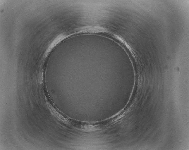 X0000085261459200703231703