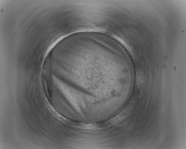 X0000085261460200703231703