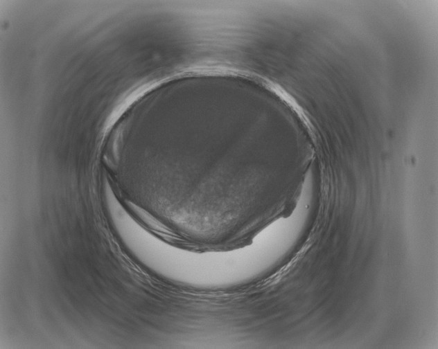 X0000085261461200703231703