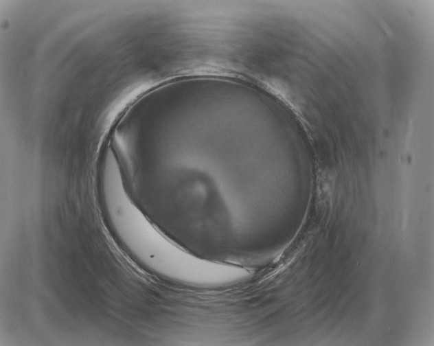 X0000085261463200703231703