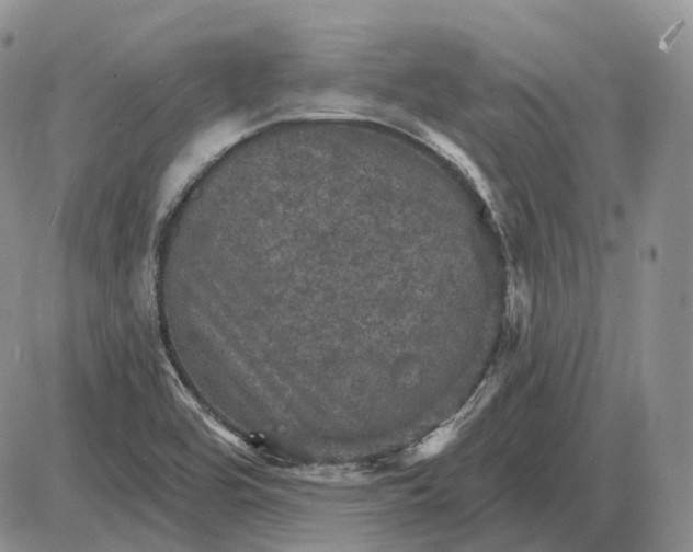 X0000085261464200703231703