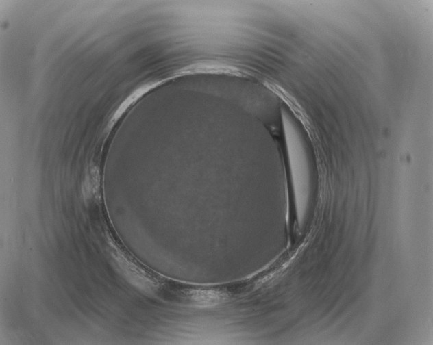 X0000085261465200703231703