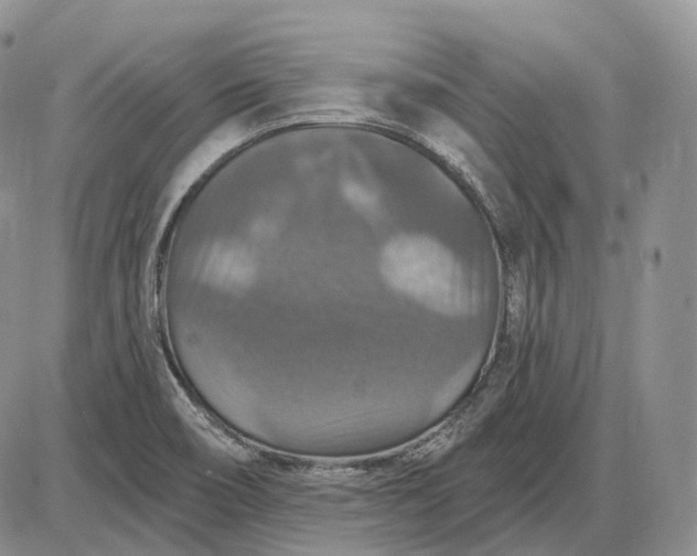 X0000085261466200703231703