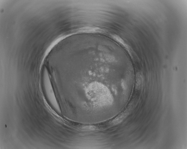 X0000085261467200703231703