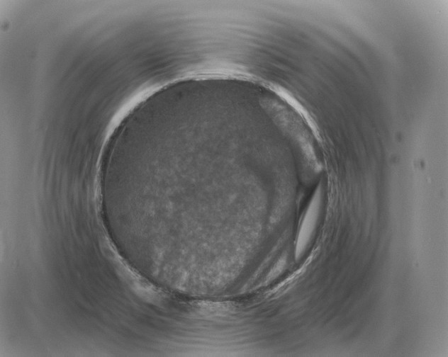 X0000085261469200703231703