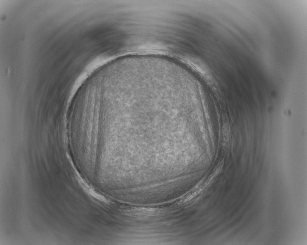 X0000085261470200703231703