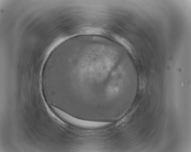 X0000085261471200703231703