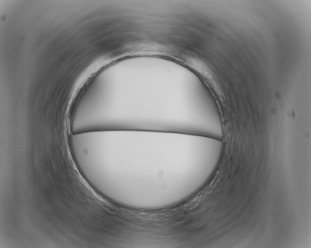 X0000085261472200703231703