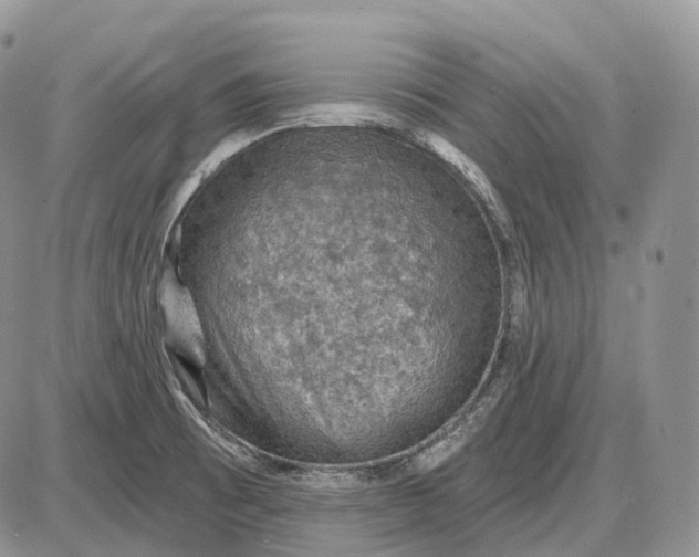 X0000085261473200703231703