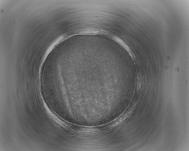 X0000085261475200703231703