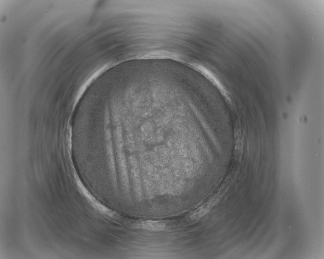 X0000085261476200703231703