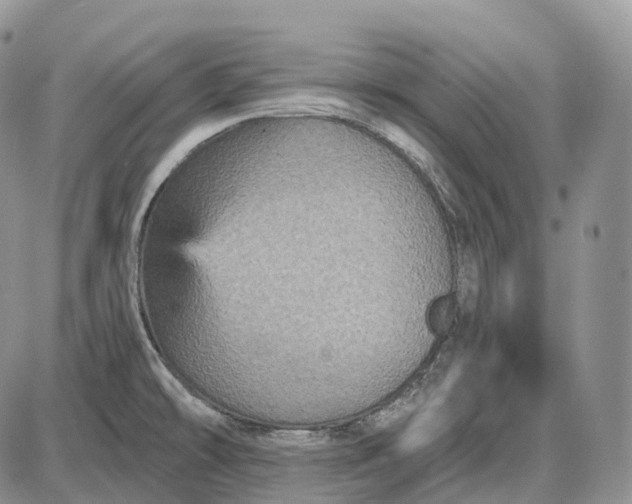 X0000085261478200703231703