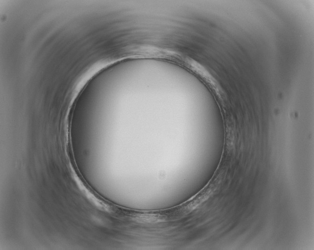 X0000085261479200703231703