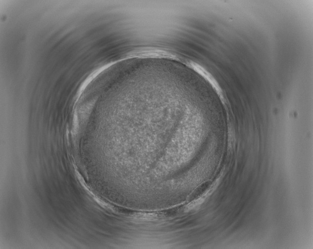 X0000085261481200703231702