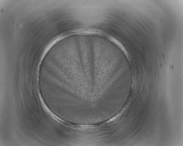 X0000085261483200703231702