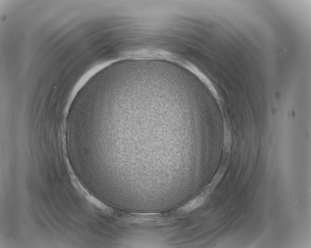 X0000085261486200703231702