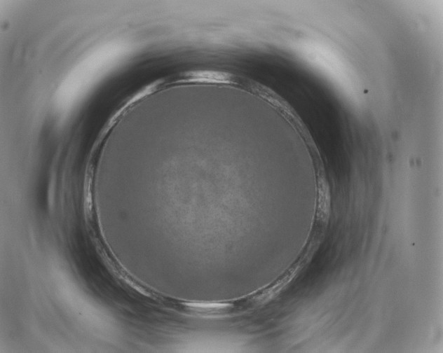 X0000085261487200703231702