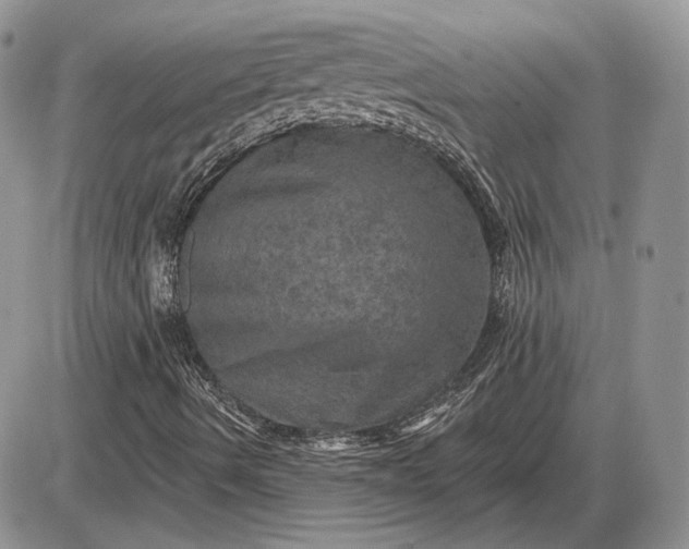 X0000085261490200703231702