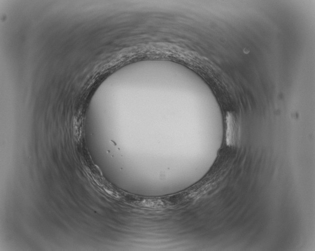 X0000085261491200703231702