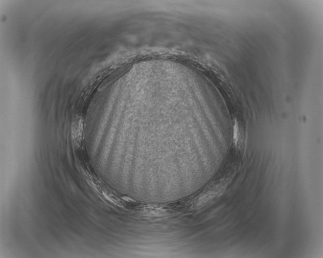 X0000085261492200703231702